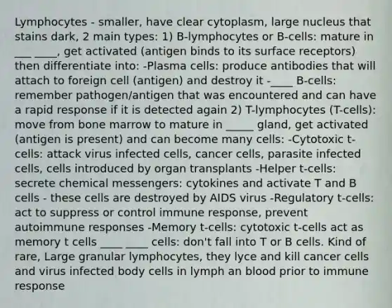 Lymphocytes - smaller, have clear cytoplasm, large nucleus that stains dark, 2 main types: 1) B-lymphocytes or B-cells: mature in ___ ____, get activated (antigen binds to its surface receptors) then differentiate into: -Plasma cells: produce antibodies that will attach to foreign cell (antigen) and destroy it -____ B-cells: remember pathogen/antigen that was encountered and can have a rapid response if it is detected again 2) T-lymphocytes (T-cells): move from bone marrow to mature in _____ gland, get activated (antigen is present) and can become many cells: -Cytotoxic t-cells: attack virus infected cells, cancer cells, parasite infected cells, cells introduced by organ transplants -Helper t-cells: secrete chemical messengers: cytokines and activate T and B cells - these cells are destroyed by AIDS virus -Regulatory t-cells: act to suppress or control immune response, prevent autoimmune responses -Memory t-cells: cytotoxic t-cells act as memory t cells ____ ____ cells: don't fall into T or B cells. Kind of rare, Large granular lymphocytes, they lyce and kill cancer cells and virus infected body cells in lymph an blood prior to immune response