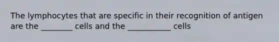 The lymphocytes that are specific in their recognition of antigen are the ________ cells and the ___________ cells