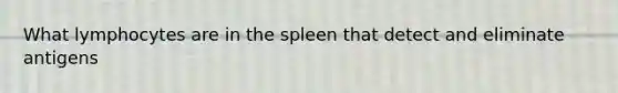 What lymphocytes are in the spleen that detect and eliminate antigens