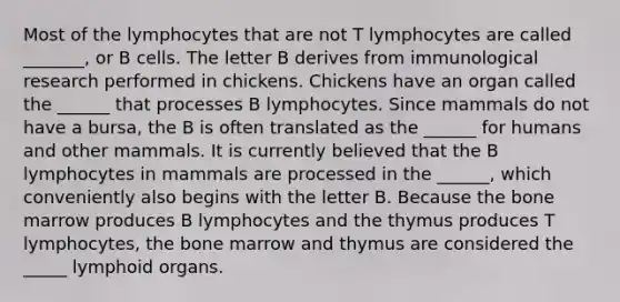 Most of the lymphocytes that are not T lymphocytes are called _______, or B cells. The letter B derives from immunological research performed in chickens. Chickens have an organ called the ______ that processes B lymphocytes. Since mammals do not have a bursa, the B is often translated as the ______ for humans and other mammals. It is currently believed that the B lymphocytes in mammals are processed in the ______, which conveniently also begins with the letter B. Because the bone marrow produces B lymphocytes and the thymus produces T lymphocytes, the bone marrow and thymus are considered the _____ lymphoid organs.