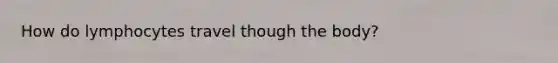 How do lymphocytes travel though the body?