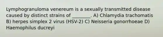 Lymphogranuloma venereum is a sexually transmitted disease caused by distinct strains of ________. A) Chlamydia trachomatis B) herpes simplex 2 virus (HSV-2) C) Neisseria gonorrhoeae D) Haemophilus ducreyi