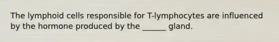 The lymphoid cells responsible for T-lymphocytes are influenced by the hormone produced by the ______ gland.