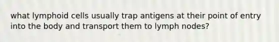 what lymphoid cells usually trap antigens at their point of entry into the body and transport them to lymph nodes?