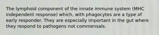 The lymphoid component of the innate immune system (MHC independent response) which, with phagocytes are a type of early responder. They are especially important in the gut where they respond to pathogens not commensals.