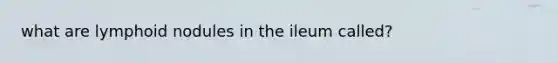 what are lymphoid nodules in the ileum called?