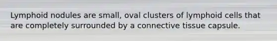 Lymphoid nodules are small, oval clusters of lymphoid cells that are completely surrounded by a connective tissue capsule.