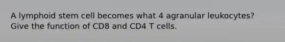 A lymphoid stem cell becomes what 4 agranular leukocytes? Give the function of CD8 and CD4 T cells.