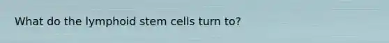 What do the lymphoid stem cells turn to?