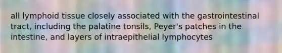 all lymphoid tissue closely associated with the gastrointestinal tract, including the palatine tonsils, Peyer's patches in the intestine, and layers of intraepithelial lymphocytes