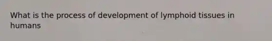 What is the process of development of lymphoid tissues in humans