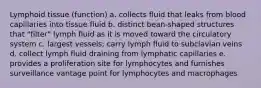 Lymphoid tissue (function) a. collects fluid that leaks from blood capillaries into tissue fluid b. distinct bean-shaped structures that "filter" lymph fluid as it is moved toward the circulatory system c. largest vessels; carry lymph fluid to subclavian veins d. collect lymph fluid draining from lymphatic capillaries e. provides a proliferation site for lymphocytes and furnishes surveillance vantage point for lymphocytes and macrophages