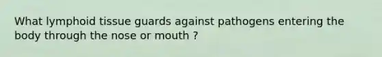 What lymphoid tissue guards against pathogens entering the body through the nose or mouth ?