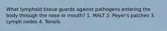 What lymphoid tissue guards against pathogens entering the body through the nose or mouth? 1. MALT 2. Peyer's patches 3. Lymph nodes 4. Tonsils