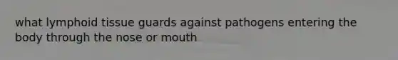 what lymphoid tissue guards against pathogens entering the body through the nose or mouth