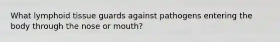 What lymphoid tissue guards against pathogens entering the body through the nose or mouth?