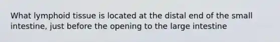 What lymphoid tissue is located at the distal end of the small intestine, just before the opening to the large intestine