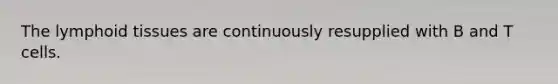 The lymphoid tissues are continuously resupplied with B and T cells.