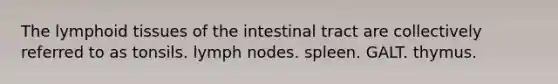 The lymphoid tissues of the intestinal tract are collectively referred to as tonsils. lymph nodes. spleen. GALT. thymus.