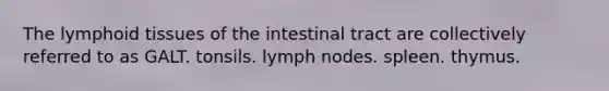 The lymphoid tissues of the intestinal tract are collectively referred to as GALT. tonsils. lymph nodes. spleen. thymus.