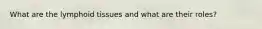 What are the lymphoid tissues and what are their roles?