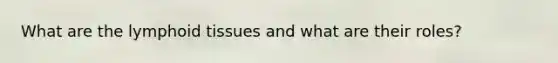 What are the lymphoid tissues and what are their roles?