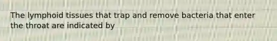 The lymphoid tissues that trap and remove bacteria that enter the throat are indicated by