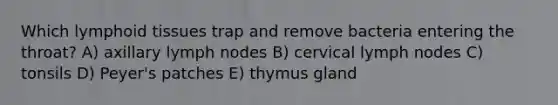 Which lymphoid tissues trap and remove bacteria entering the throat? A) axillary lymph nodes B) cervical lymph nodes C) tonsils D) Peyer's patches E) thymus gland