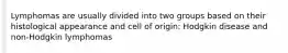 Lymphomas are usually divided into two groups based on their histological appearance and cell of origin: Hodgkin disease and non-Hodgkin lymphomas