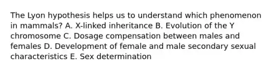 The Lyon hypothesis helps us to understand which phenomenon in mammals? A. X-linked inheritance B. Evolution of the Y chromosome C. Dosage compensation between males and females D. Development of female and male secondary sexual characteristics E. Sex determination