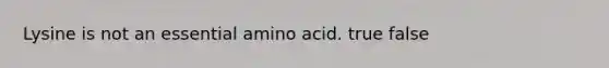 Lysine is not an essential amino acid. true false