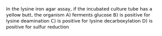 In the lysine iron agar assay, if the incubated culture tube has a yellow butt, the organism A) ferments glucose B) is positive for lysine deamination C) is positive for lysine decarboxylation D) is positive for sulfur reduction