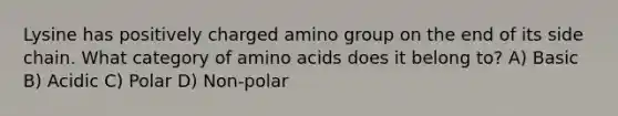 Lysine has positively charged amino group on the end of its side chain. What category of amino acids does it belong to? A) Basic B) Acidic C) Polar D) Non-polar