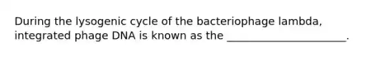 During the lysogenic cycle of the bacteriophage lambda, integrated phage DNA is known as the ______________________.