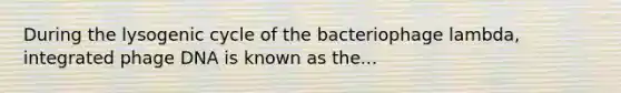 During the lysogenic cycle of the bacteriophage lambda, integrated phage DNA is known as the...