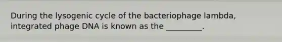 During the lysogenic cycle of the bacteriophage lambda, integrated phage DNA is known as the _________.