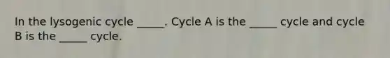 In the lysogenic cycle _____. Cycle A is the _____ cycle and cycle B is the _____ cycle.