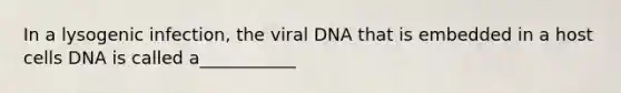 In a lysogenic infection, the viral DNA that is embedded in a host cells DNA is called a___________