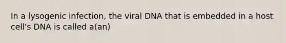 In a lysogenic infection, the viral DNA that is embedded in a host cell's DNA is called a(an)