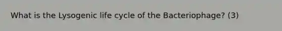 What is the Lysogenic life cycle of the Bacteriophage? (3)