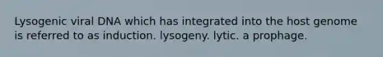 Lysogenic viral DNA which has integrated into the host genome is referred to as induction. lysogeny. lytic. a prophage.