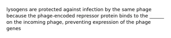 lysogens are protected against infection by the same phage because the phage-encoded repressor protein binds to the ______ on the incoming phage, preventing expression of the phage genes