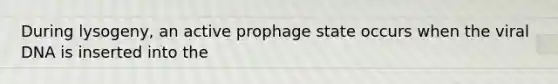 During lysogeny, an active prophage state occurs when the viral DNA is inserted into the