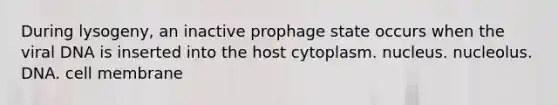 During lysogeny, an inactive prophage state occurs when the viral DNA is inserted into the host cytoplasm. nucleus. nucleolus. DNA. cell membrane