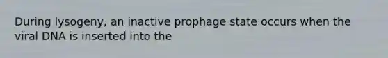 During lysogeny, an inactive prophage state occurs when the viral DNA is inserted into the