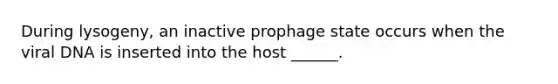 During lysogeny, an inactive prophage state occurs when the viral DNA is inserted into the host ______.