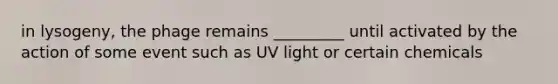 in lysogeny, the phage remains _________ until activated by the action of some event such as UV light or certain chemicals