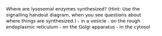 Where are lysosomal enzymes synthesized? (Hint: Use the signalling handout diagram, when you see questions about where things are synthesized.) - in a vesicle - on the rough endoplasmic reticulum - on the Golgi apparatus - in the cytosol