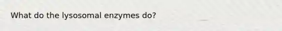 What do the lysosomal enzymes do?