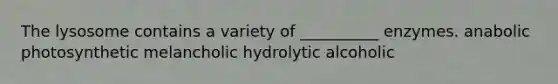 The lysosome contains a variety of __________ enzymes. anabolic photosynthetic melancholic hydrolytic alcoholic